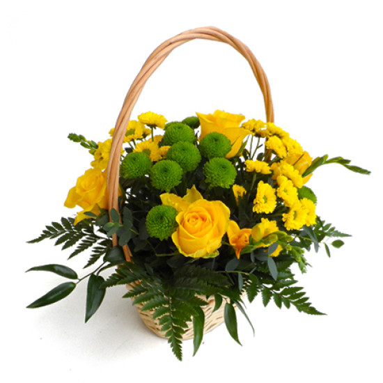 Shine - flower basket